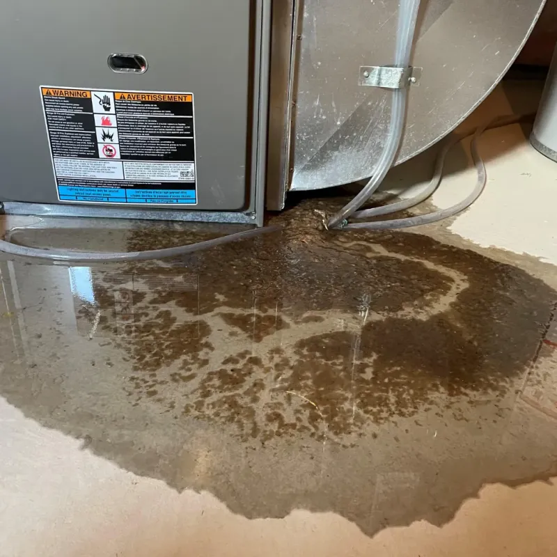 Appliance Leak Cleanup in Duvall, WA
