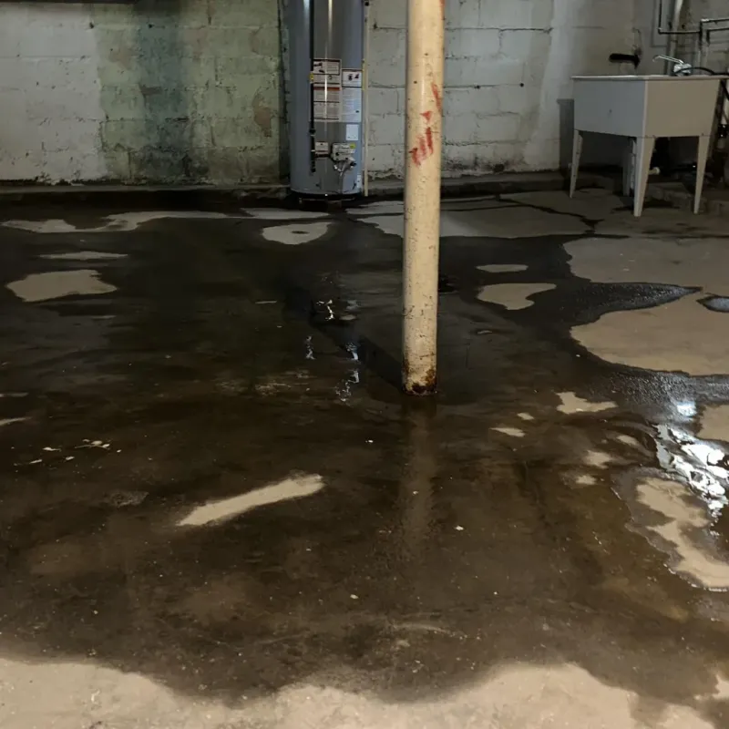 Emergency Water Extraction And Removal in Duvall, WA